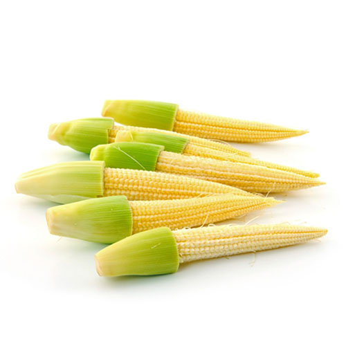 Babycorn Fresh Foods BKK