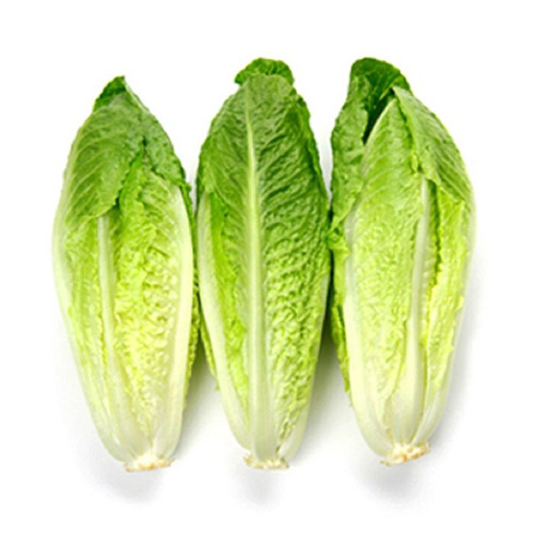 lettuce cos Fresh Foods BKK